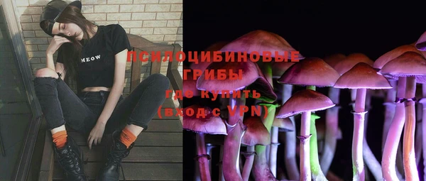 дмт Белокуриха