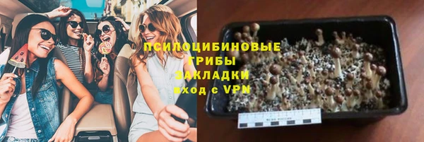 PSILOCYBIN Богородск