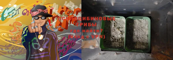 дмт Белокуриха