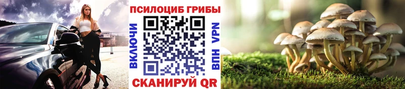 Псилоцибиновые грибы Magic Shrooms  OMG ССЫЛКА  Демидов 